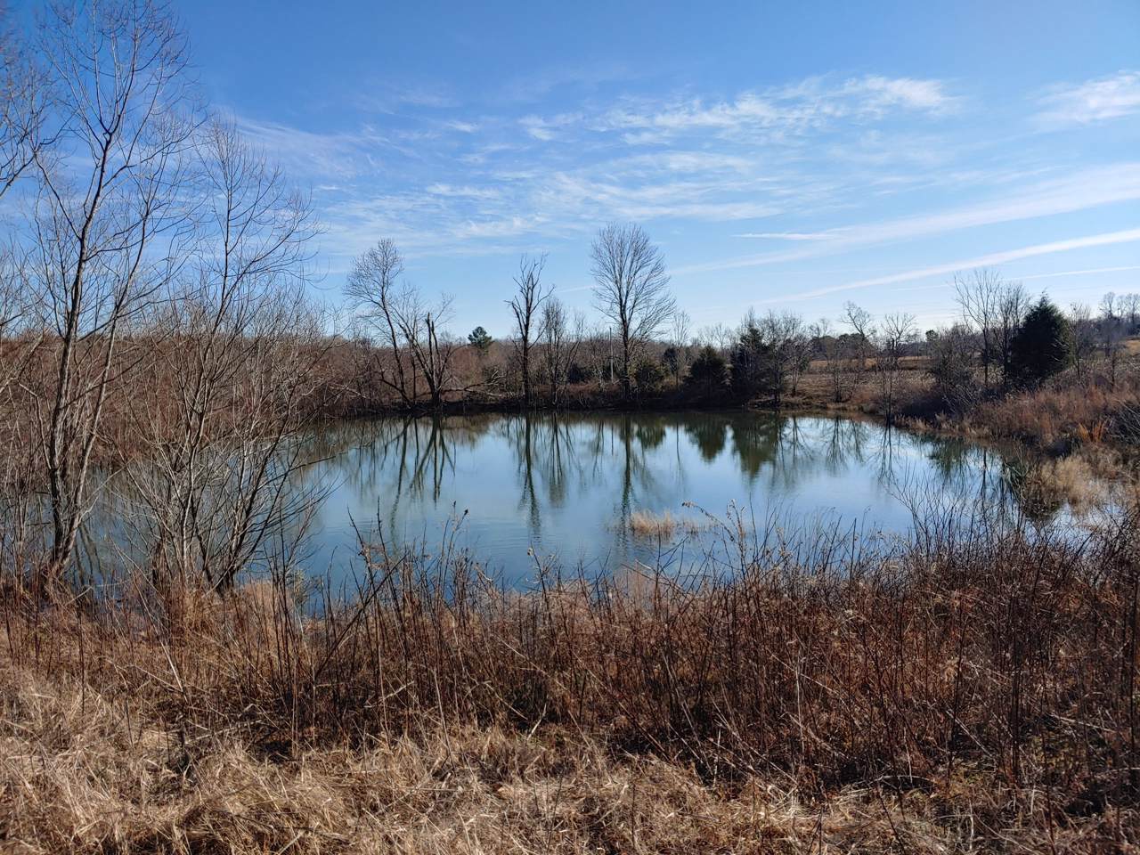 8239 Old Highway 13 - Photo 1