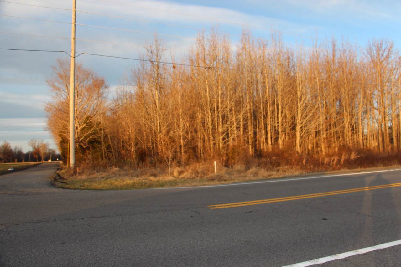 6210 Highway 25 - Photo 1