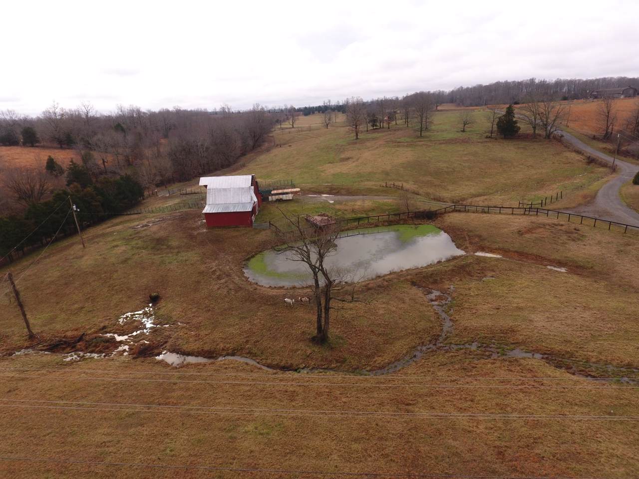 0 Maple Valley Road - Photo 1