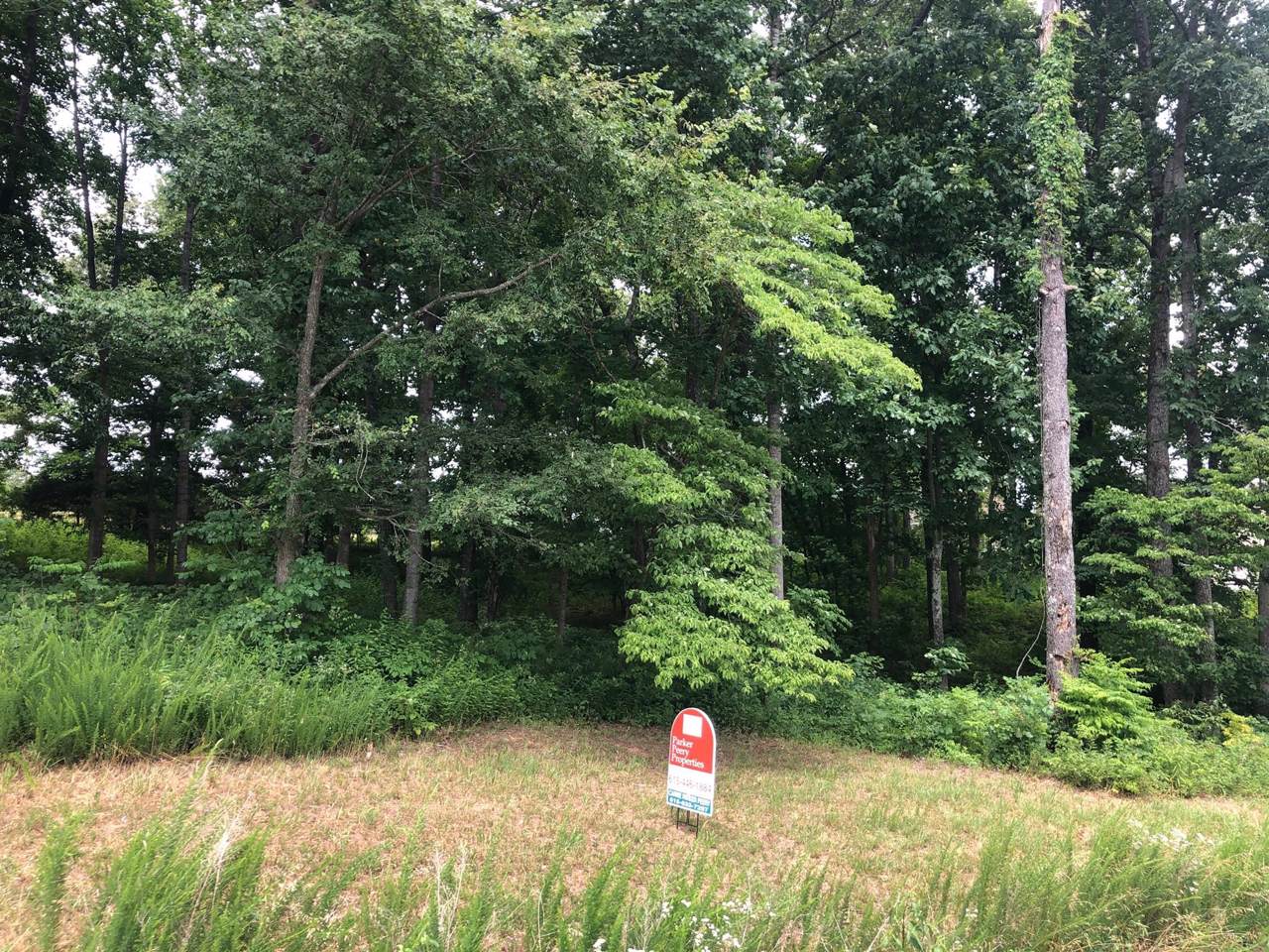 0 Hillside Dr - Photo 1