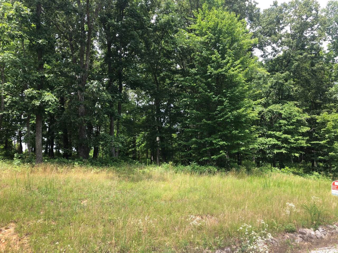 0 Hillside Dr - Photo 1