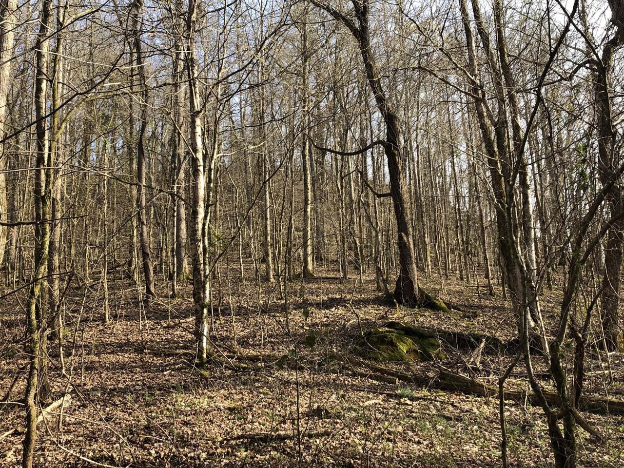 1783 Agnew Rd - Photo 1