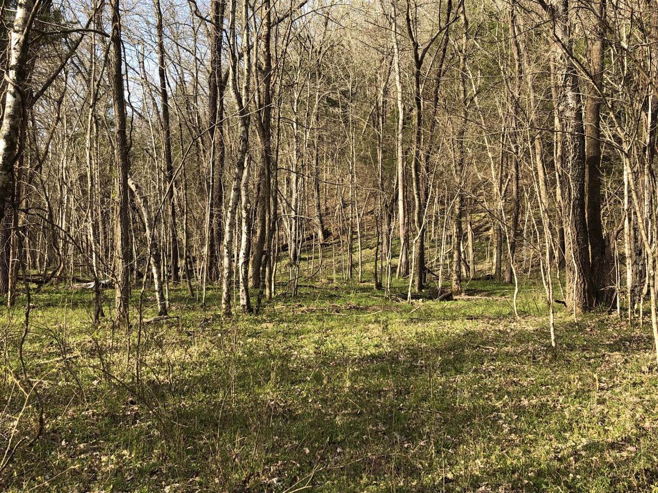 1783 Agnew Rd - Photo 1