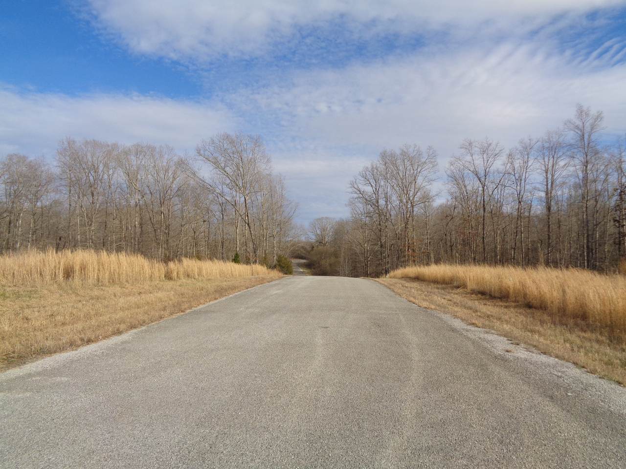0 Eagle Loop - Photo 1