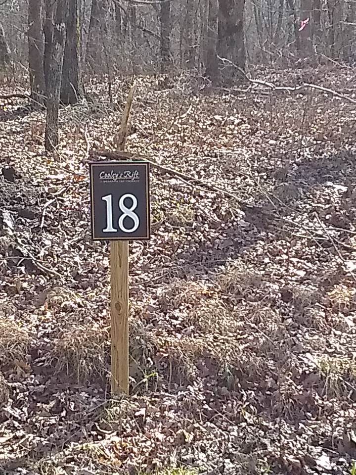 0 Deepwoods Rd - Photo 1