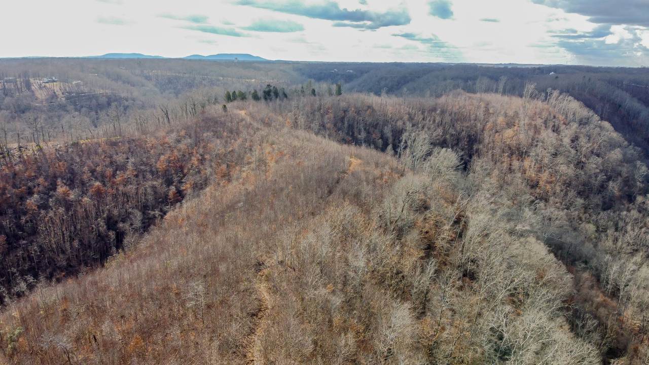 0 Coconut Ridge Rd - Photo 1