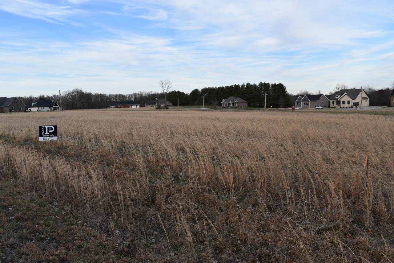 0 Red Oak Lane Lot 37 - Photo 1