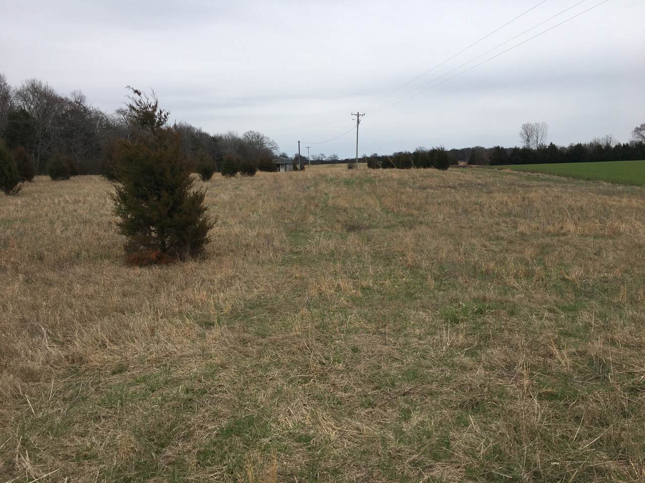 4001 Mount Rd - Photo 1
