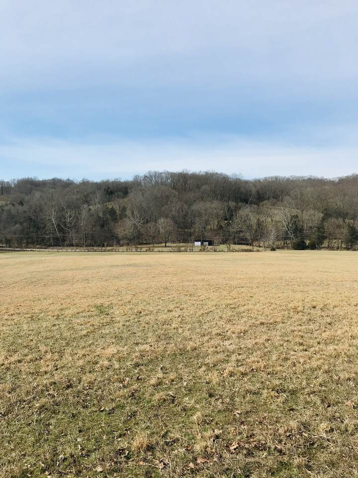 0 Williamson Branch Rd - Photo 1