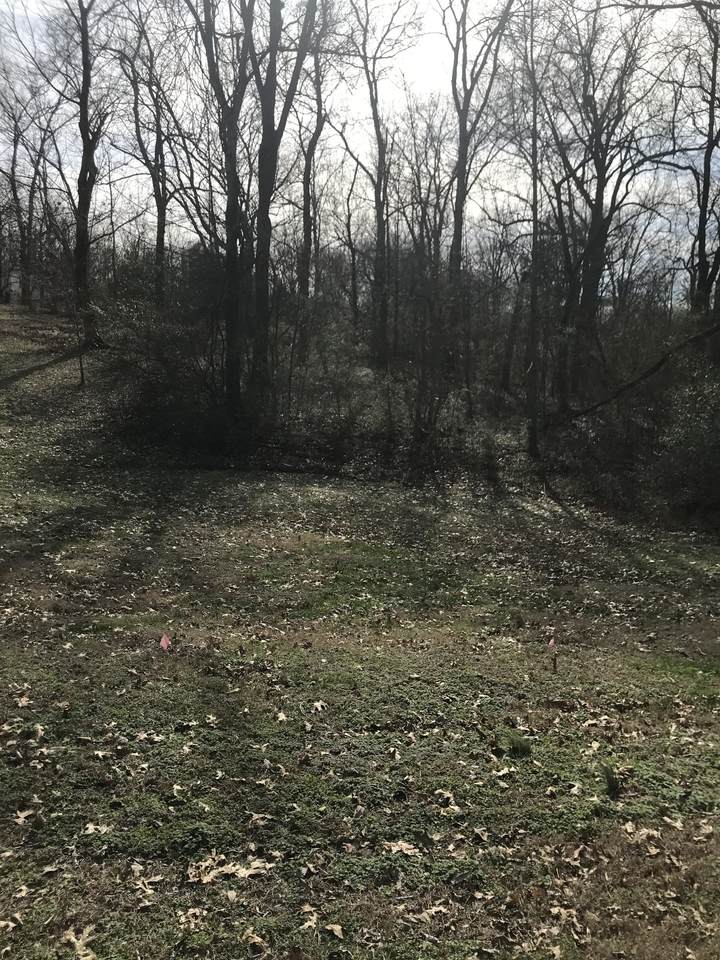 0 Frye Rd - Photo 1