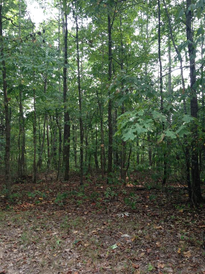 0 Swindle Rd - Photo 1