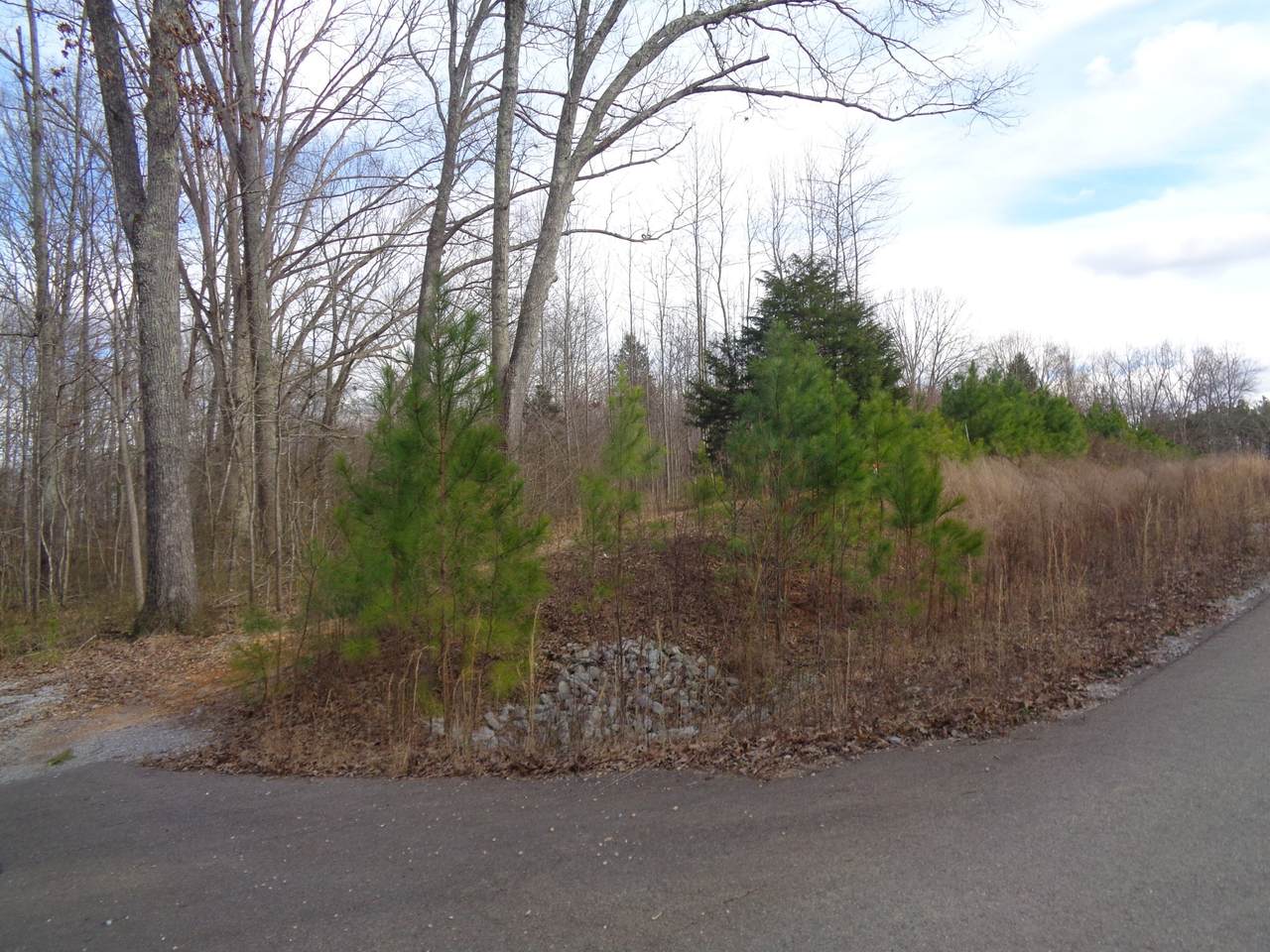 0 Belew Drive - Photo 1