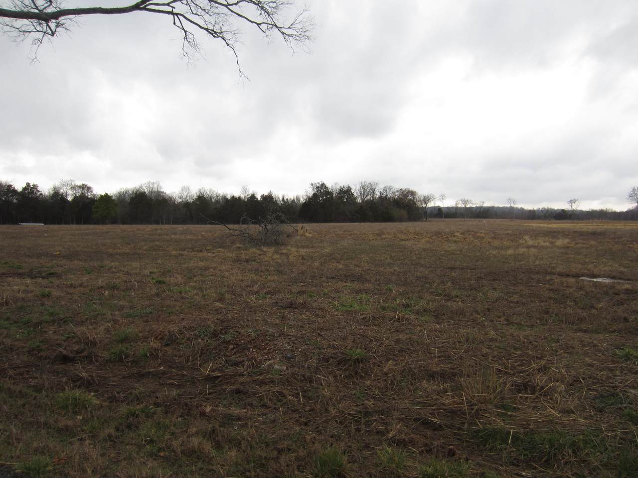 4 Gwynn Rd - Photo 1