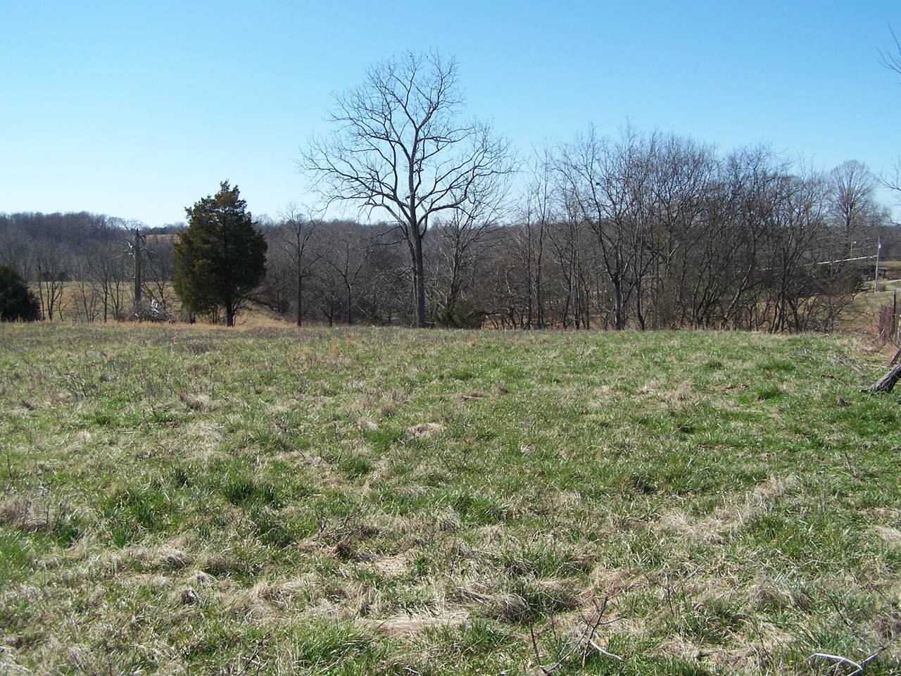 1011 Eddings Blvd - Photo 1