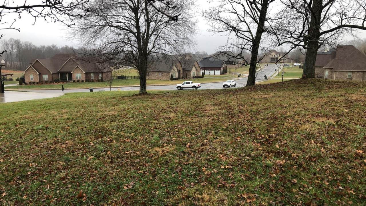 316 Bryson Ln - Photo 1