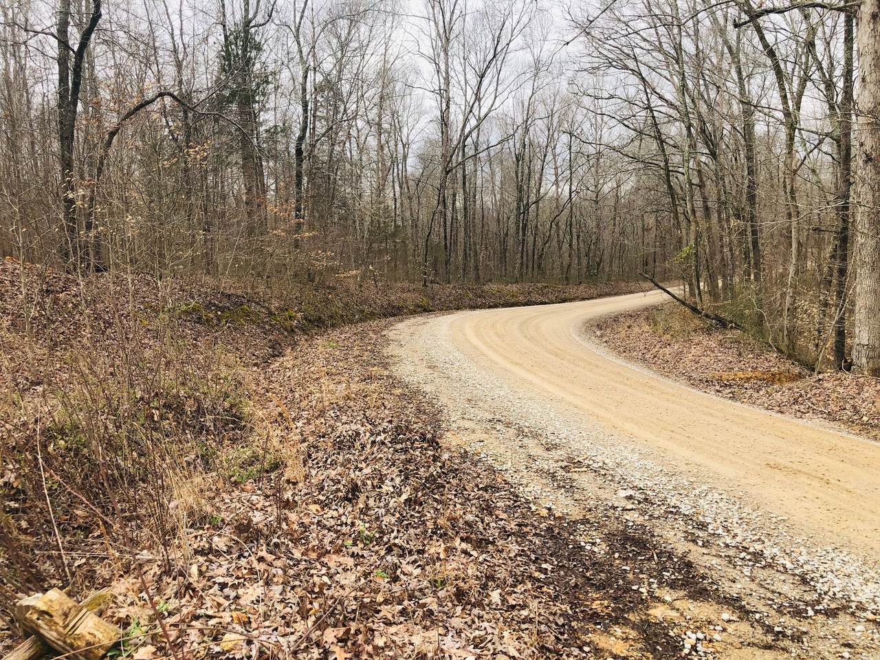 0 Maple Rd - Photo 1