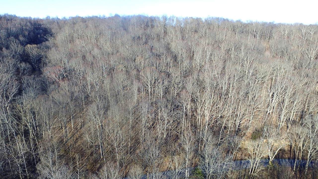 0 Panhandle Road Lot 5 - Photo 1