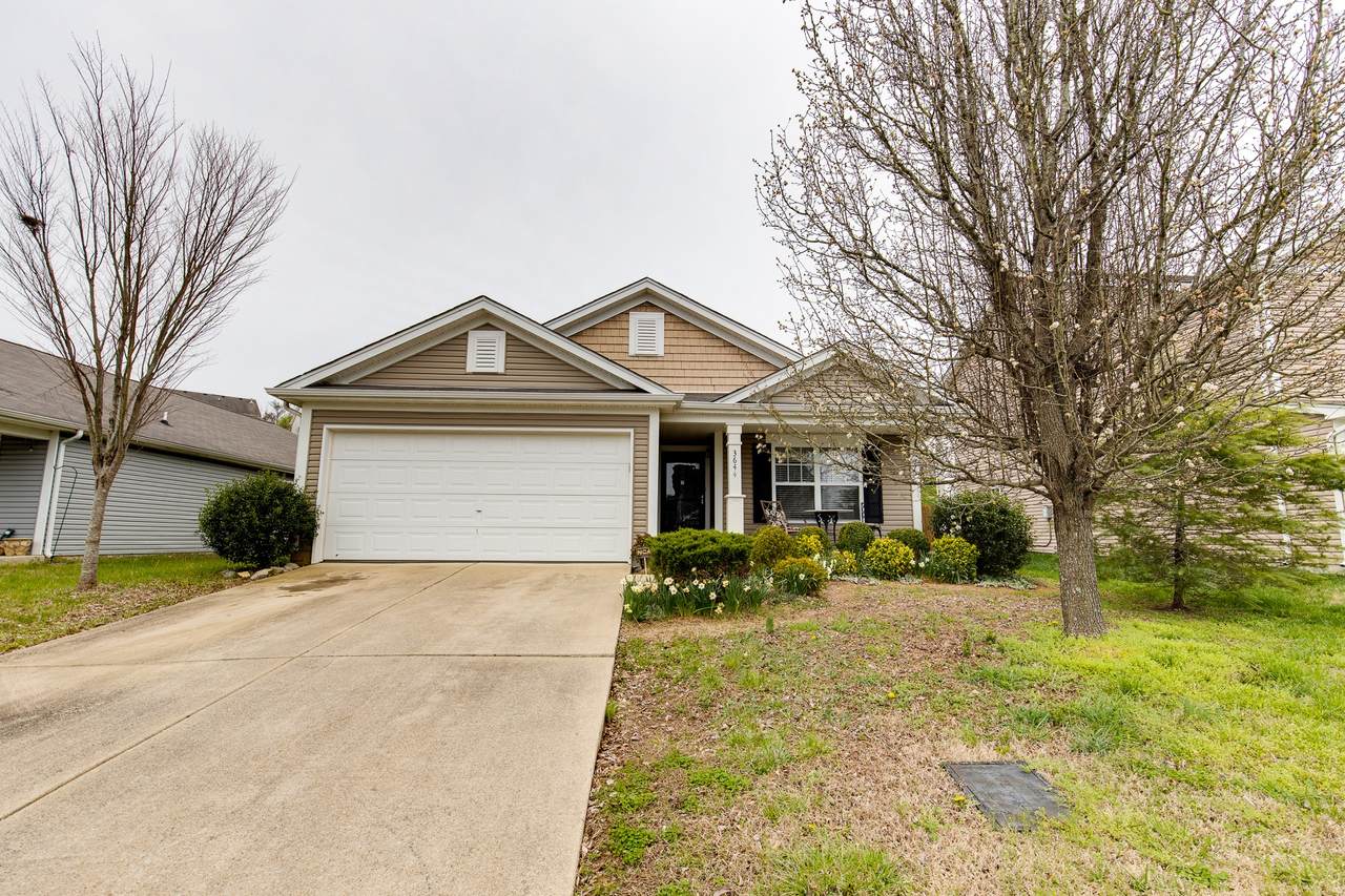 3644 Coles Branch Dr - Photo 1