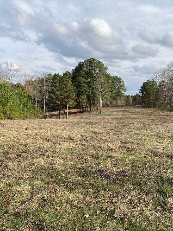 183 Chisholm Creek Road - Photo 1