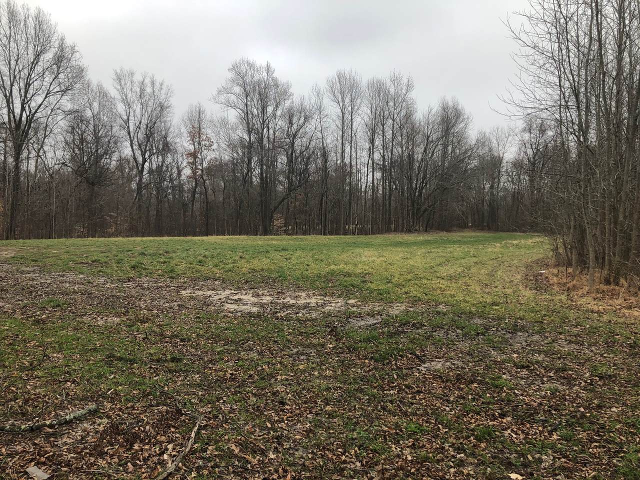 2191 Central Curve Road - Photo 1