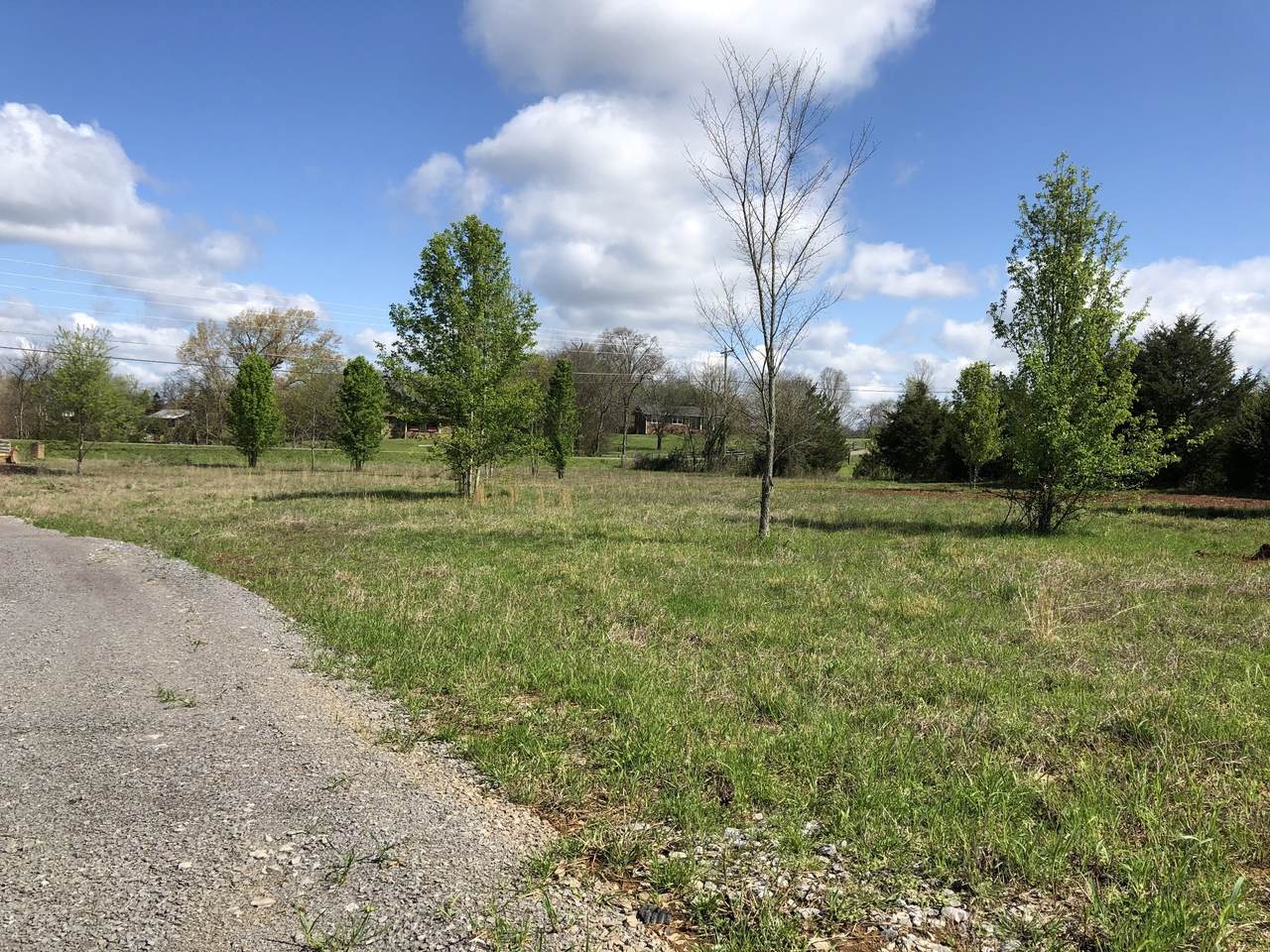 0 Midland Fosterville Rd - Photo 1