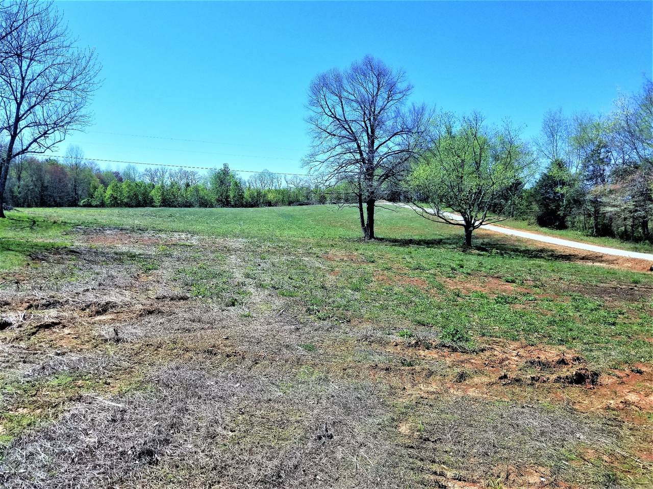 0 Mike Muncey Rd - Photo 1 0 Mike Muncey Rd - Photo 1