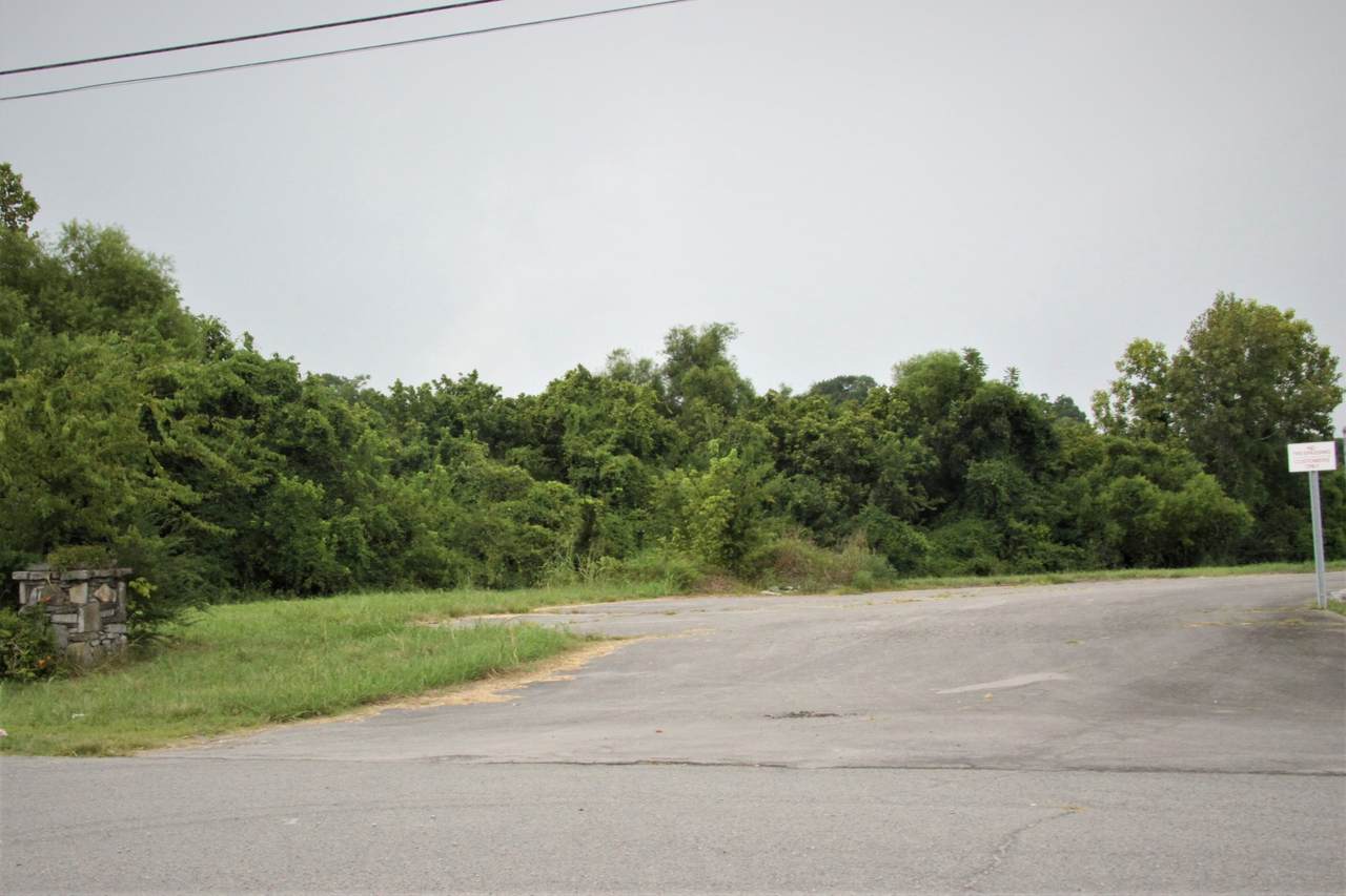0 Lion Pkwy - Photo 1
