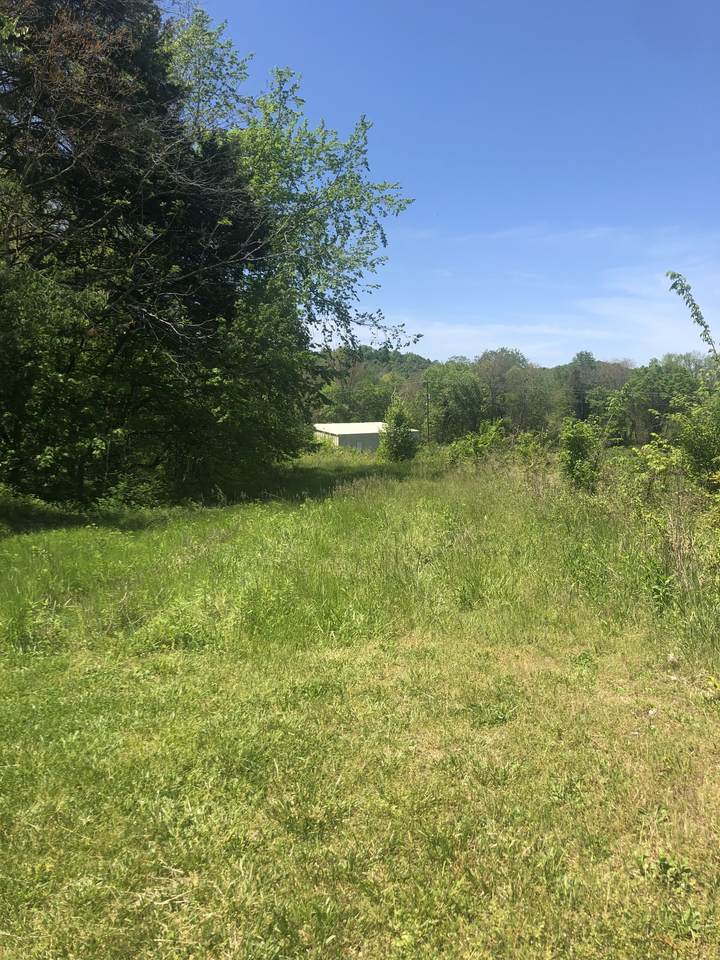 3115 Highway 149 - Photo 1