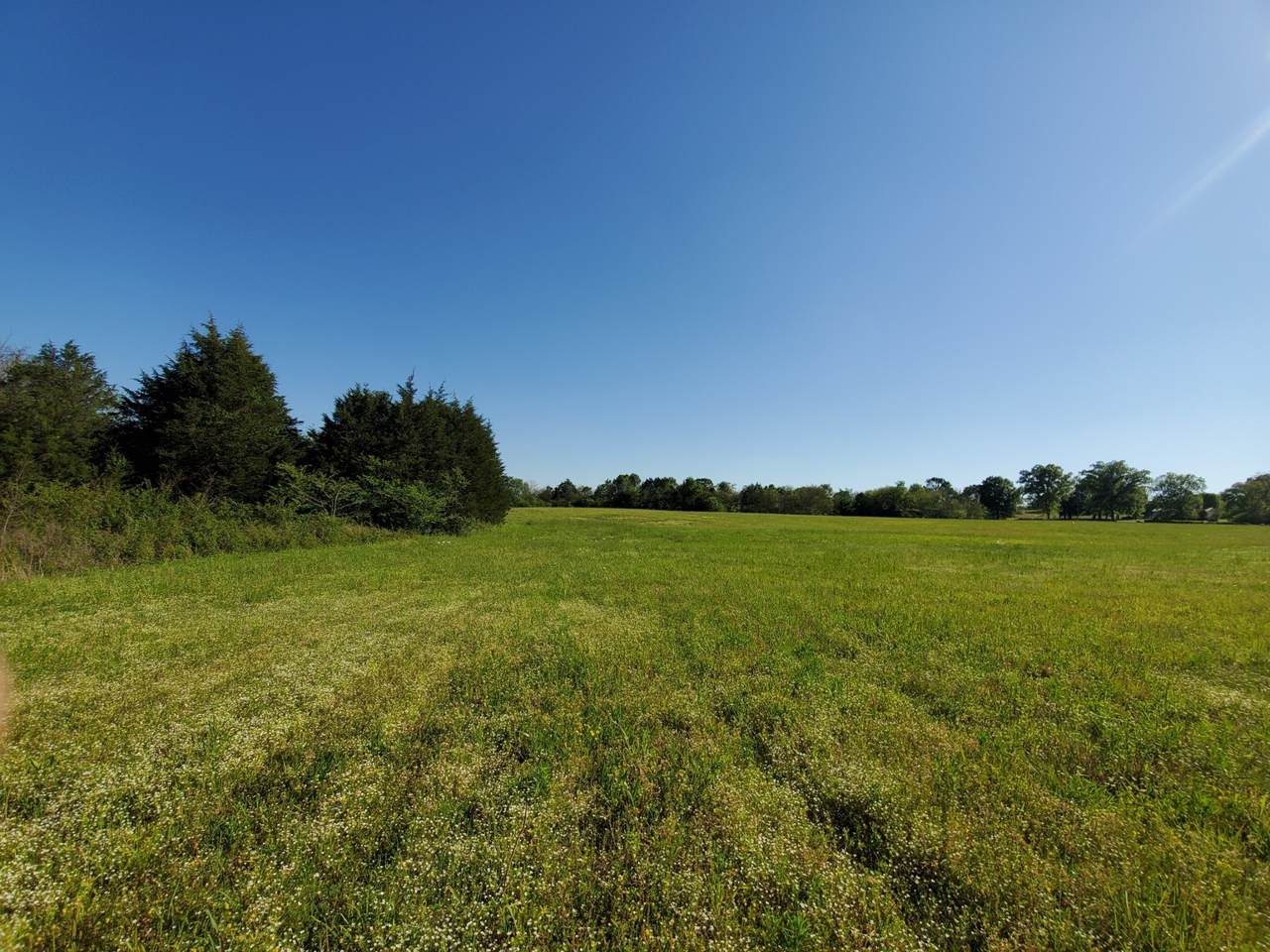 265 Temple Ford Road - Photo 1 265 Temple Ford Road - Photo 1