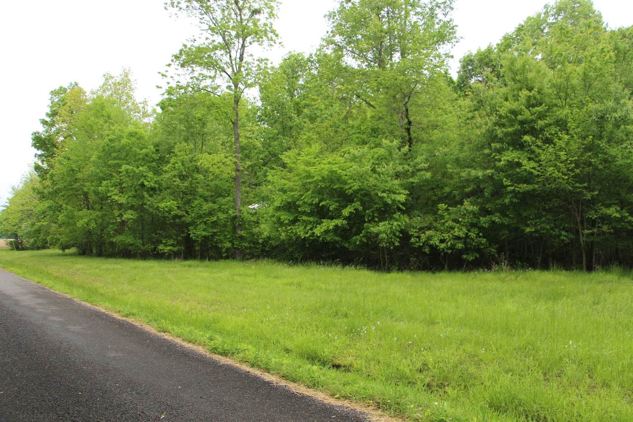 0 Ezbon Holland Rd - Photo 1