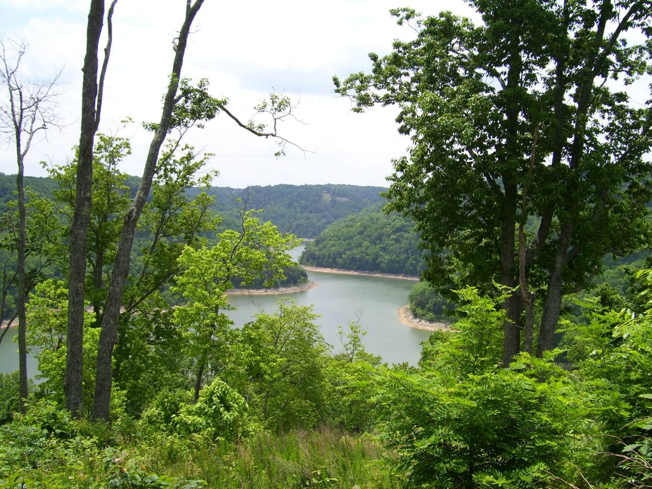 43 Deer Path Ct. - Photo 1