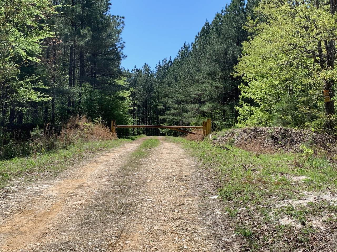 0 Lick Creek Road - Photo 1 0 Lick Creek Road - Photo 1