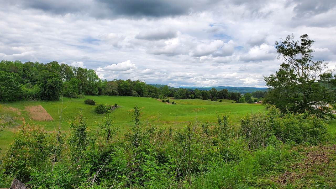 926 County House Rd - Photo 1