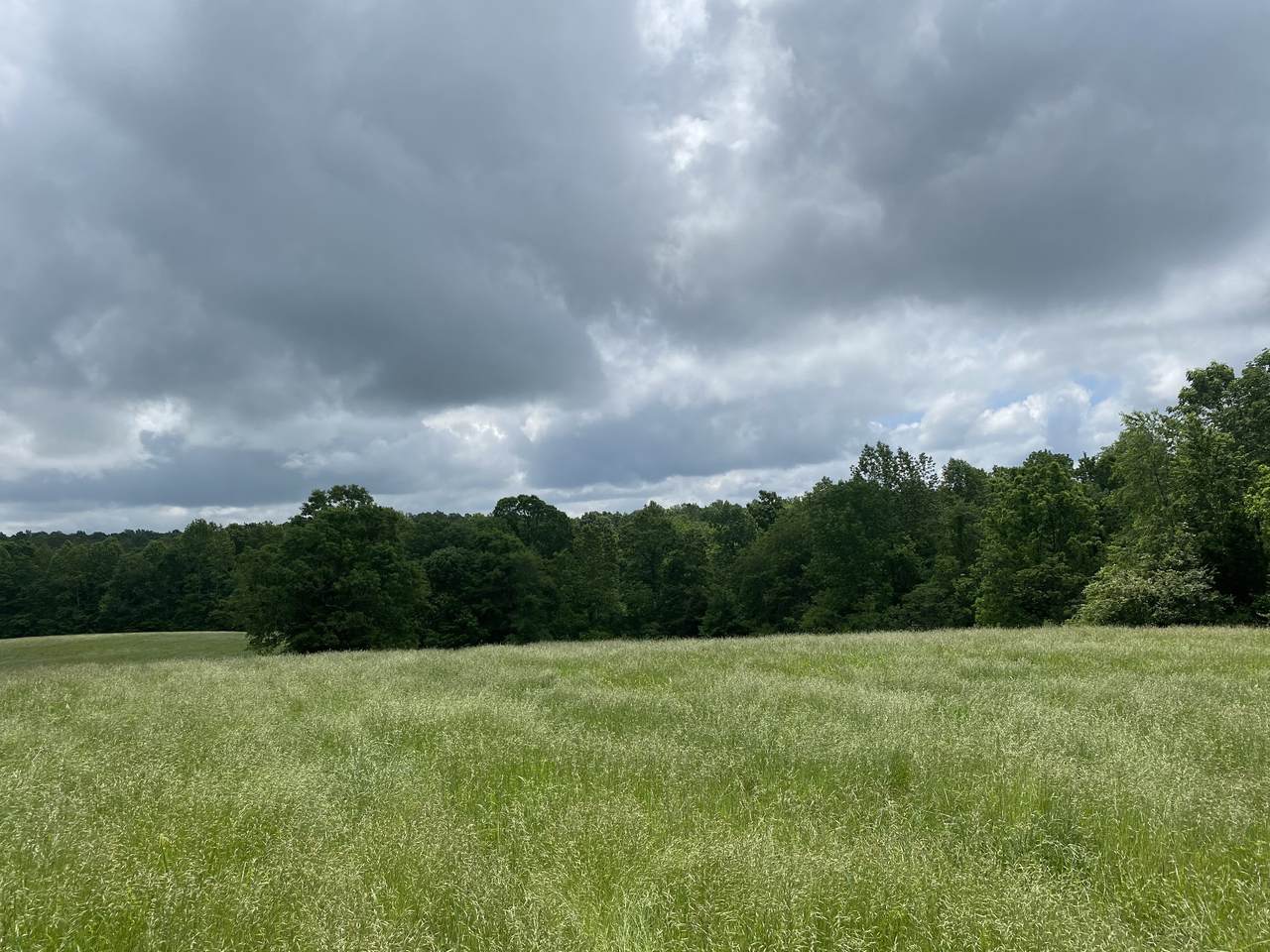 0 Garners Creek Rd. - Photo 1