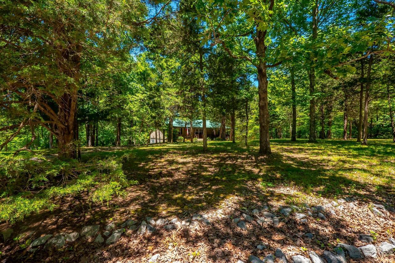 928 Nancy Shawl Rd - Photo 1
