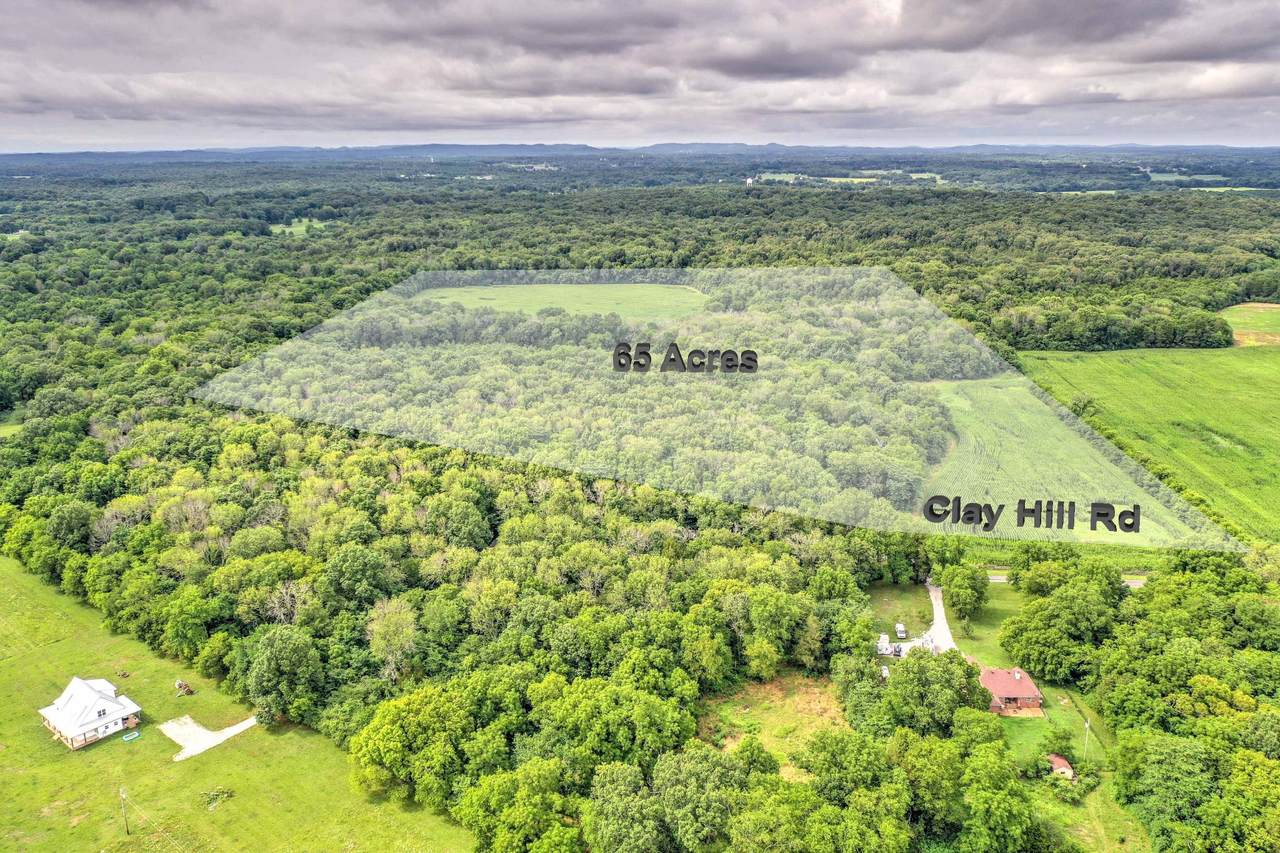0 Clay Hill Rd - Photo 1