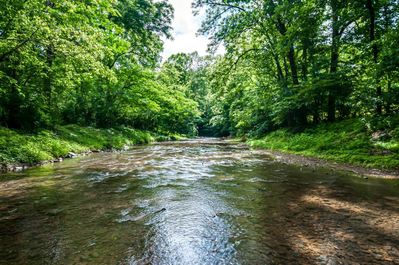 7399 Caney Fork Rd - Photo 1
