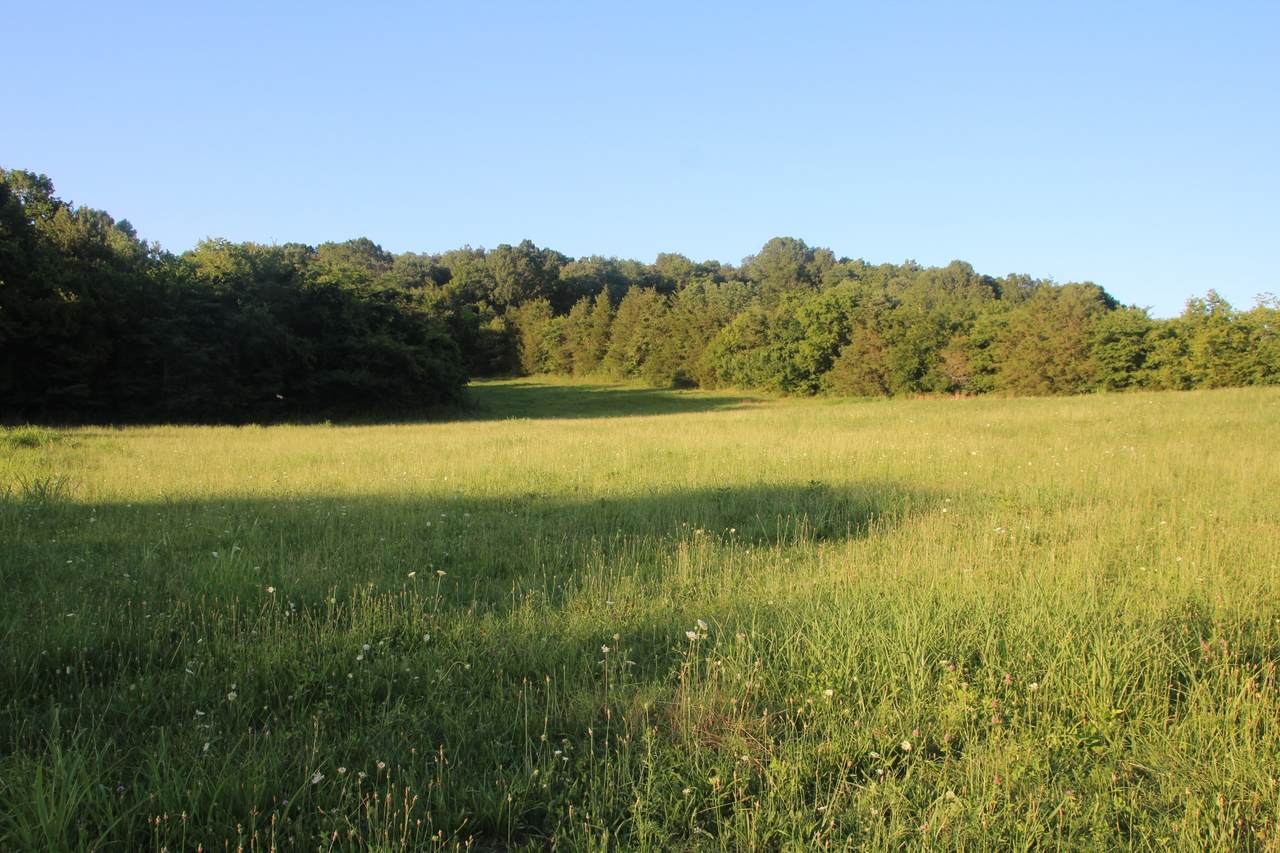 130E Highway 130 - Photo 1
