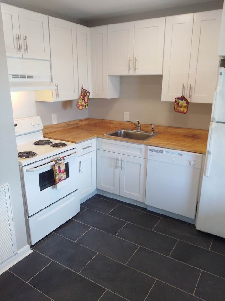 555 N Dupont Ave - Photo 1