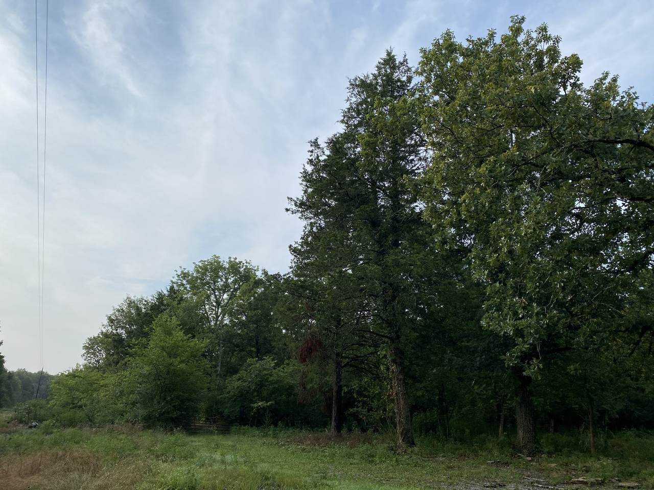 3 Mount Herman Rd - Photo 1