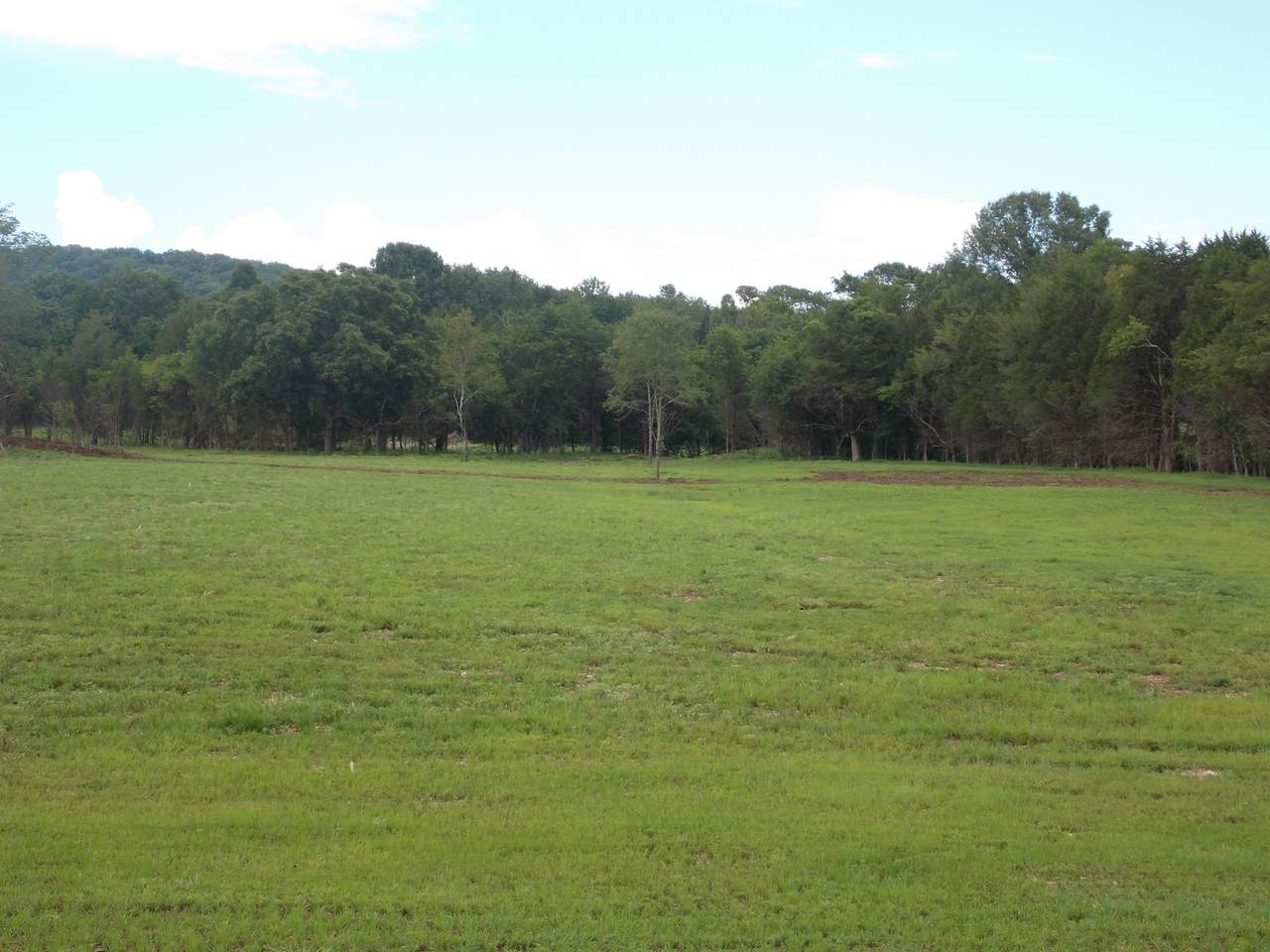 1 Thick Rd - Photo 1