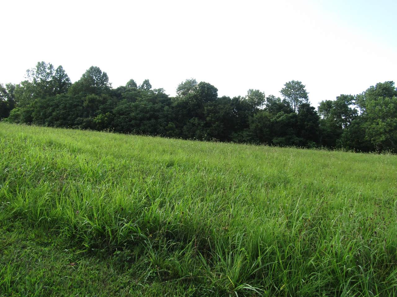 2 Bly Cemetery Rd - Photo 1