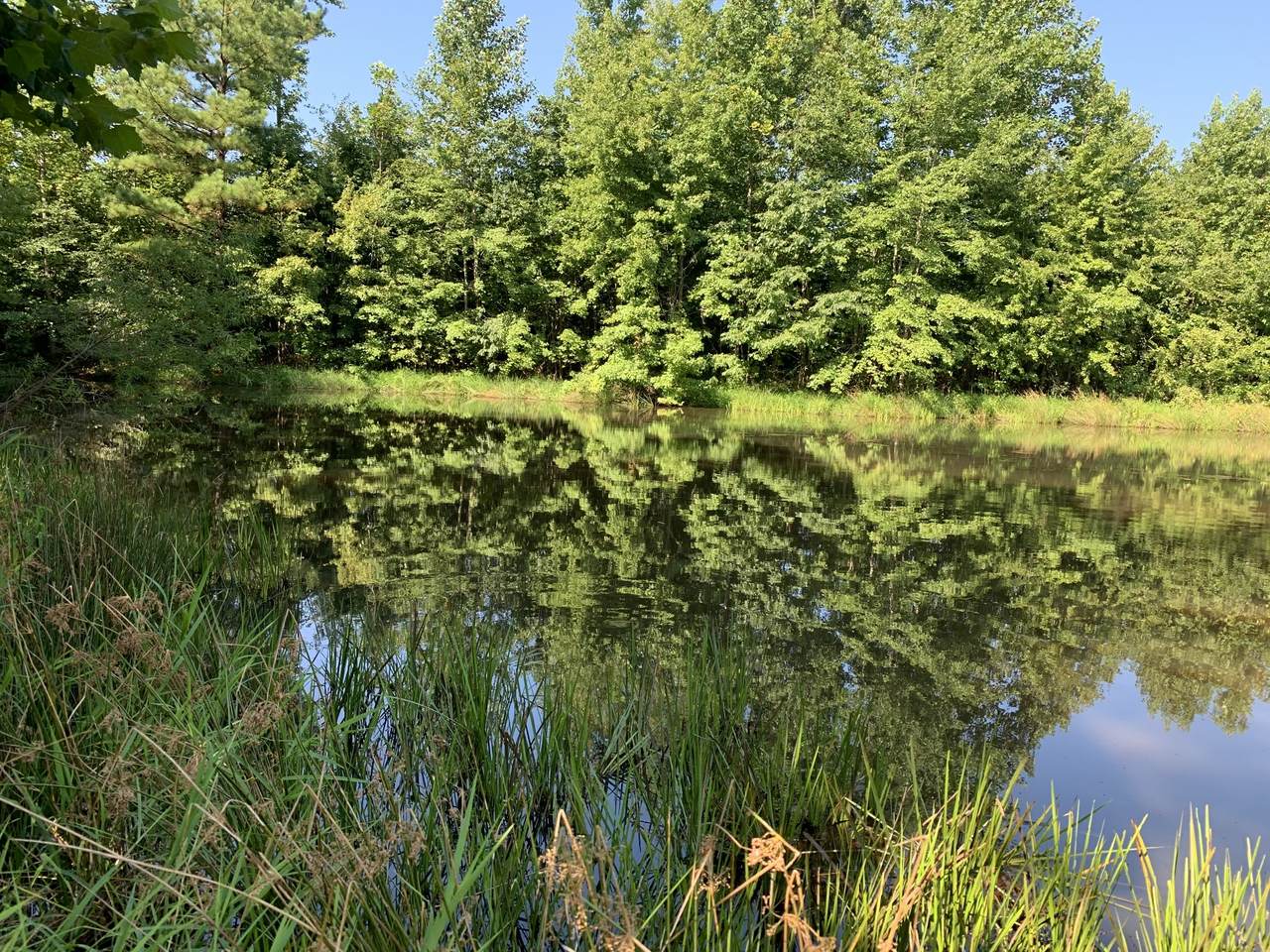 879 Sutton Hollow Rd - Photo 1