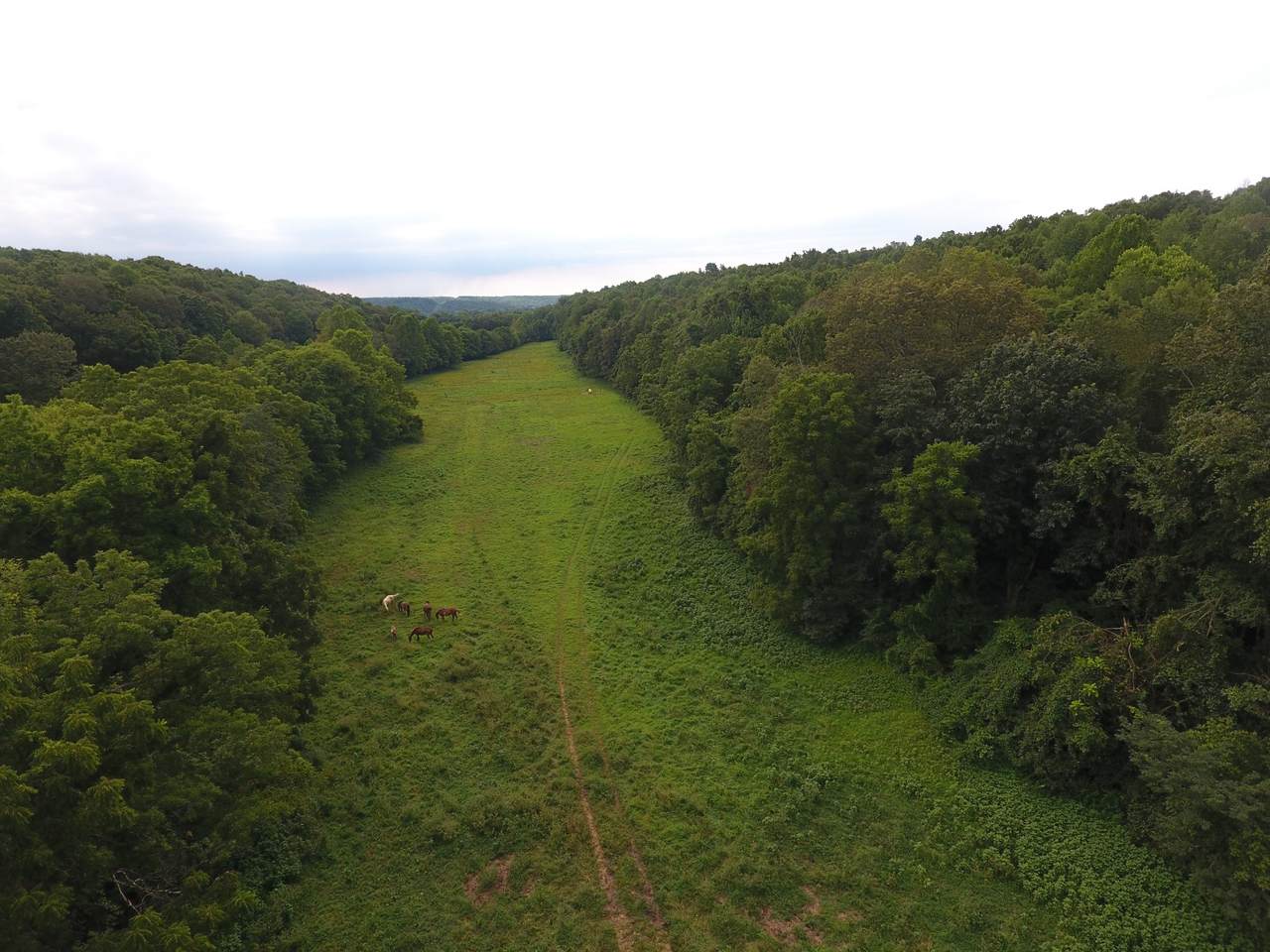 2653 Campground Rd - Photo 1