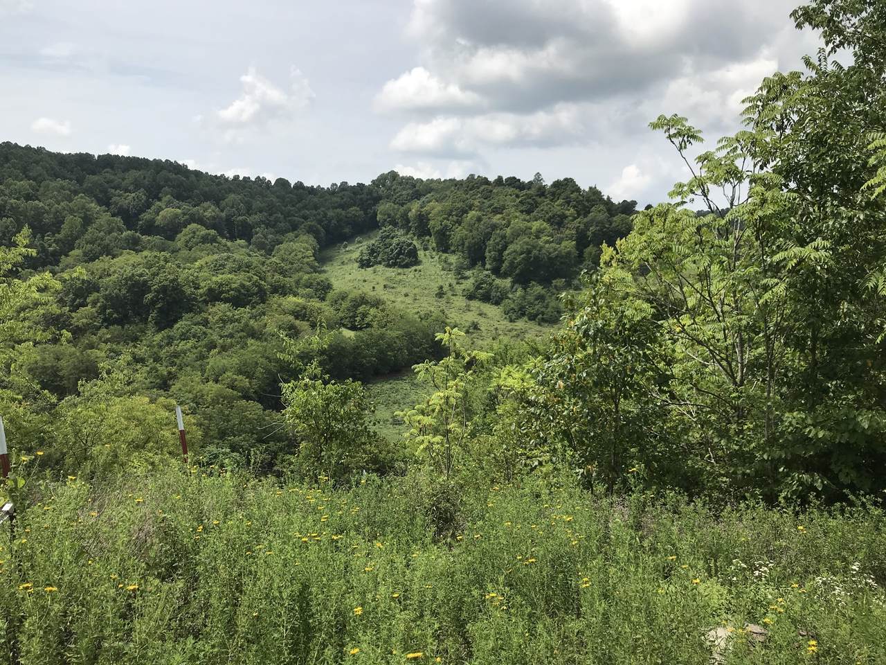 4182 Auburntown Rd - Photo 1