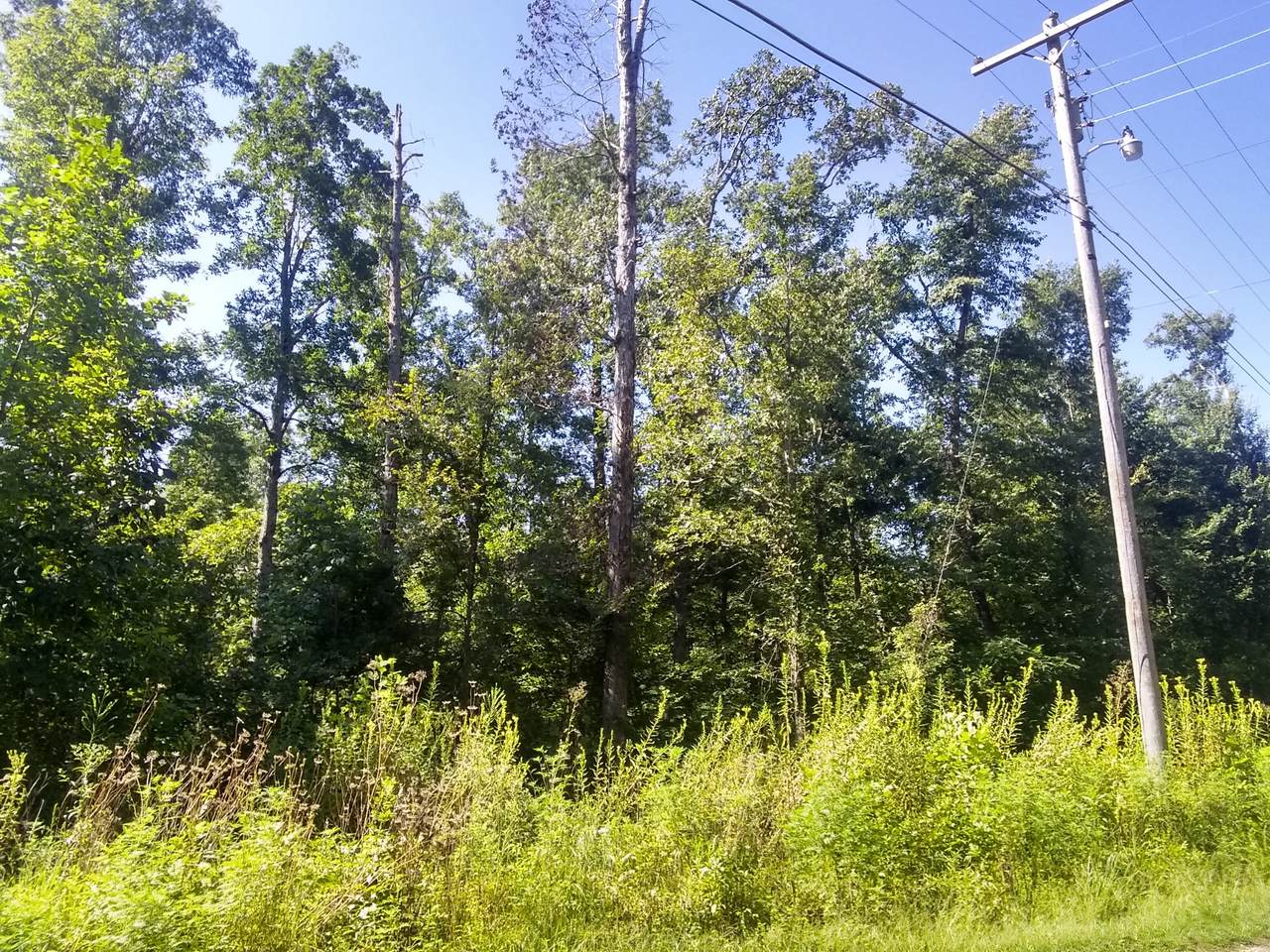 0 Wilkinstown Rd - Photo 1
