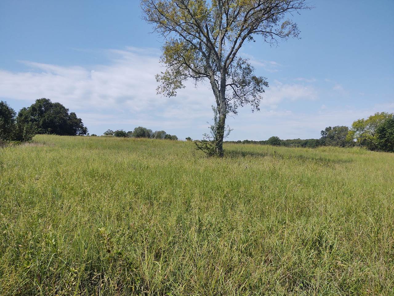 0 Cairo Bend Rd - Photo 1
