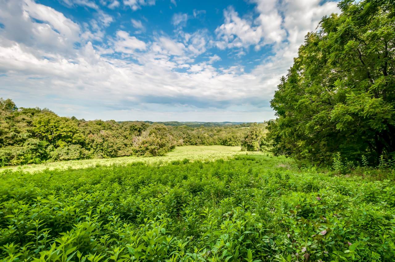 0 Dry Creek Rd - Photo 1