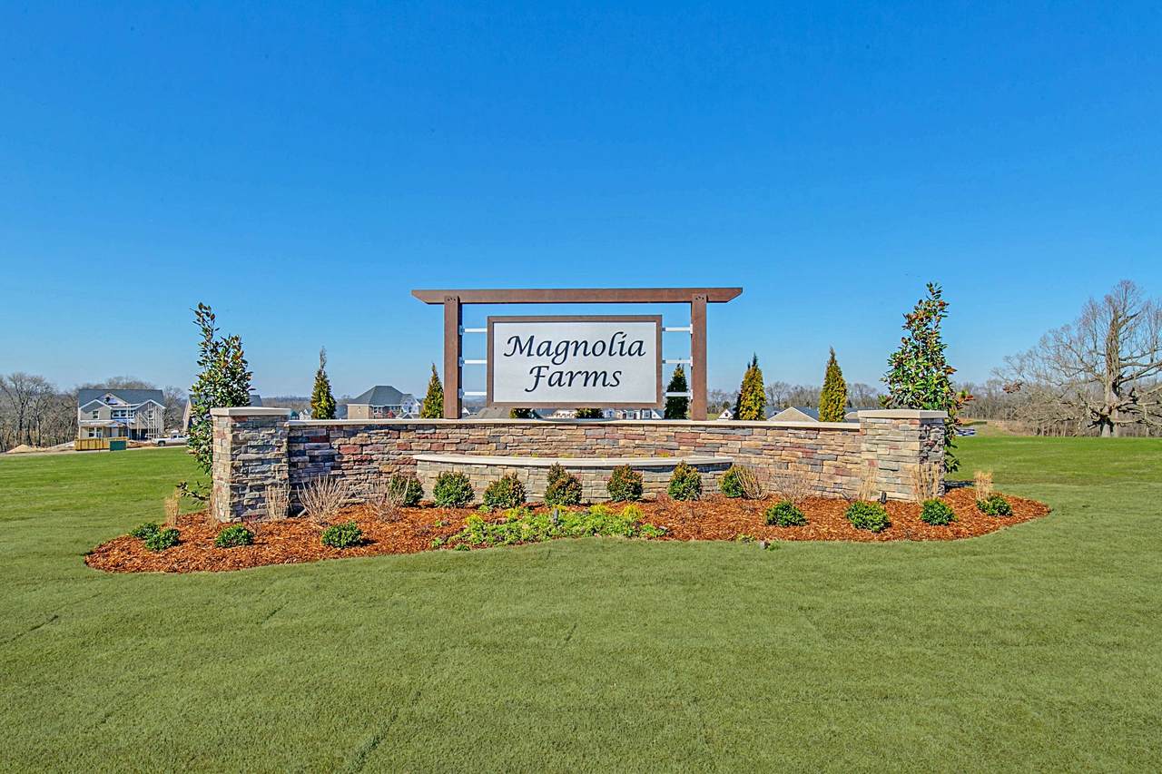 803 Sunset View Drive - Photo 1