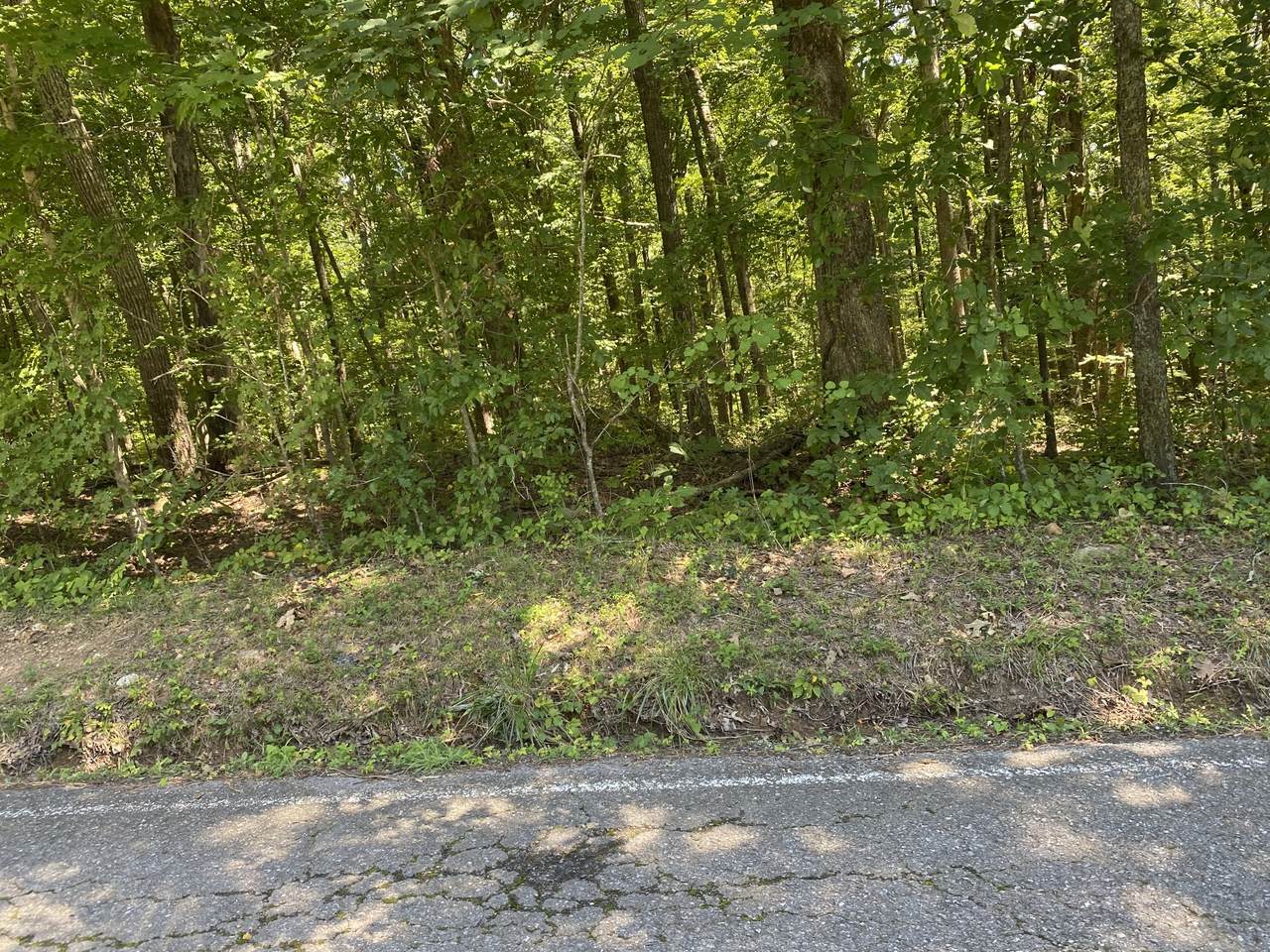 0 Forrest Glenn Rd - Photo 1